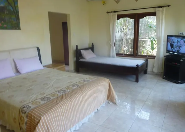 Anugerah Hotel Amed (Bali)